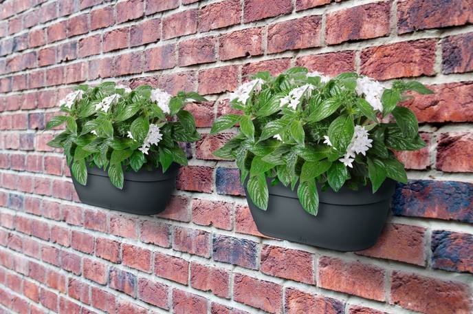 vibia campana wall basket 35cm anthracite
